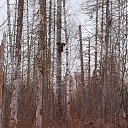 ���� ���������, ������, 45 ��� - ��������� 16 ������� 2025 � ������ ���� ����������