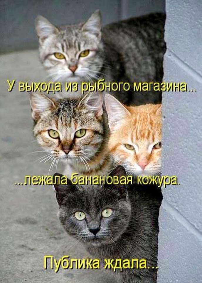   ,    - 2  2025  13:01