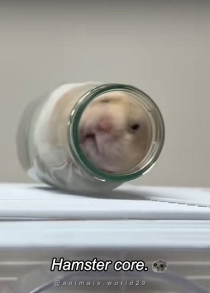 ��a���ae�c�, ��o �o���� �pe��o���a�� ���� � o���o�ec��e. c�� �� �o�e, �o��pa����, �� � �o���! - 2