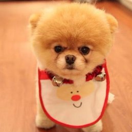 ���������, ���������, 21 ���