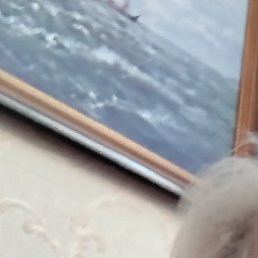 �������, ������, 64 ����