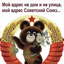 ���������, ����-�������, 49 ���