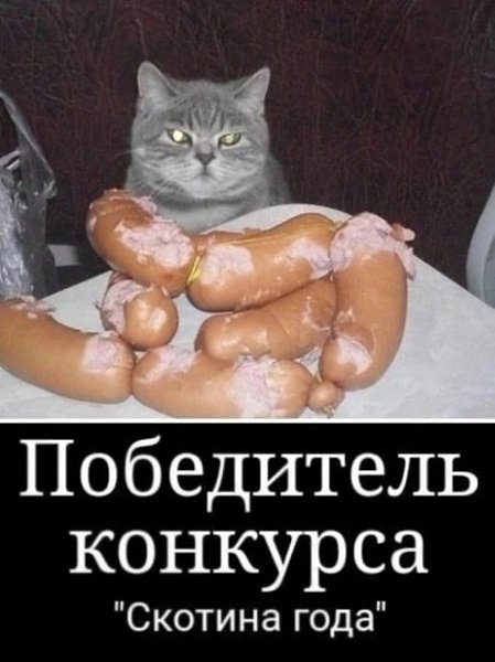  - 5  2025  06:14