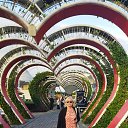 ���� ��������, �������� - ��������� 21 �������� 2025 � ������ ���� ����������