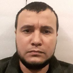 �����, ������, 37 ���