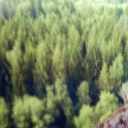 Фото Анатолий, Набережные Челны, 32 года Анатолий, Набережные Челны, 32 года