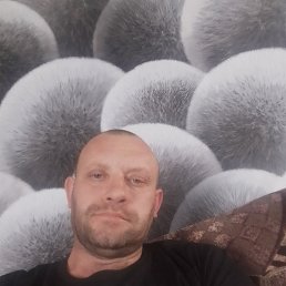 , 41, 