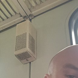 ������, �������