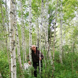 ���������, 65 ���, ��������