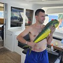 ���� ����, �����, 39 ��� - ��������� 15 ������ 2026 � ������ ���� ����������