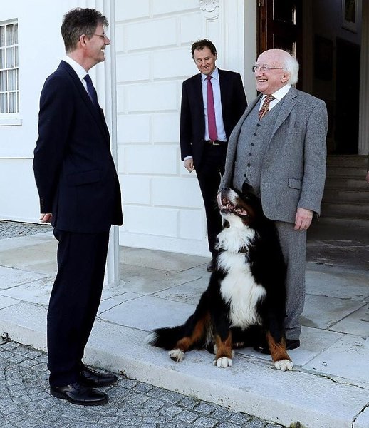 ��������� �������� ����� ������� �������� ����� �������������� � �������� ������������. ��� ������ ... - 2