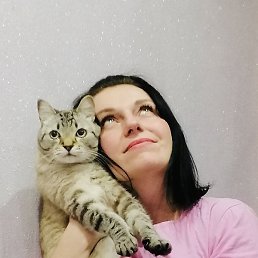 ������, ��������, 40 ���