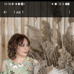 �����, ������������, 53 ����