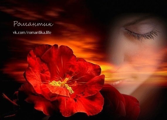 ������� �� ���������� ���������, ����� �������� ��� �������� ����, ������ ������ ����� ������������, ...