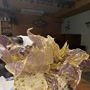 ���� �����, ������ - ��������� 14 ���� 2026 � ������ ������ ��������