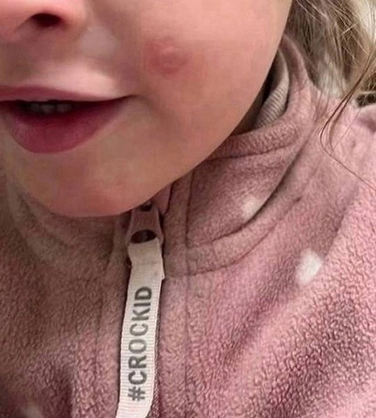 �������� ���������� ����� ��� �������.� ����������� ��������� �������� ������. ���������� ������� ... - 2