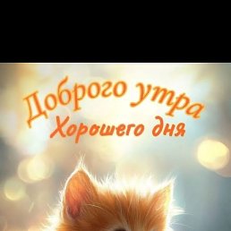 ��������, ���������, 33 ����