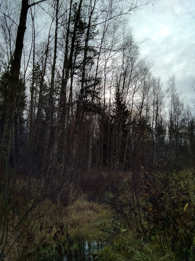 epoo-coco ec  aoao ape 