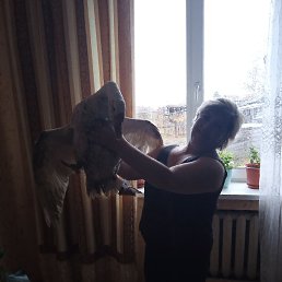 ����, ������, 57 ���