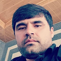 �����, �����-���������, 36 ���