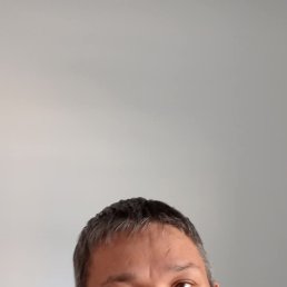 , 40, 