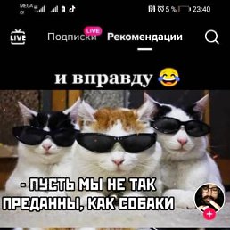 ���� ������, ������, 40 ��� - ��������� 16 ������ 2023