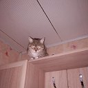 ���� �������, ������, 46 ��� - ��������� 9 ������� 2025 � ������ ������ ��������