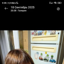 ���� �����, ������, 49 ��� - ��������� 18 ������ 2026