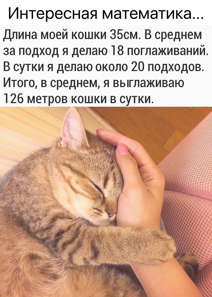    - 26  2024  22:18