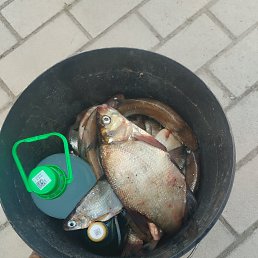 ���� �������, ������, 55 ��� - ��������� 1 ���� 2025