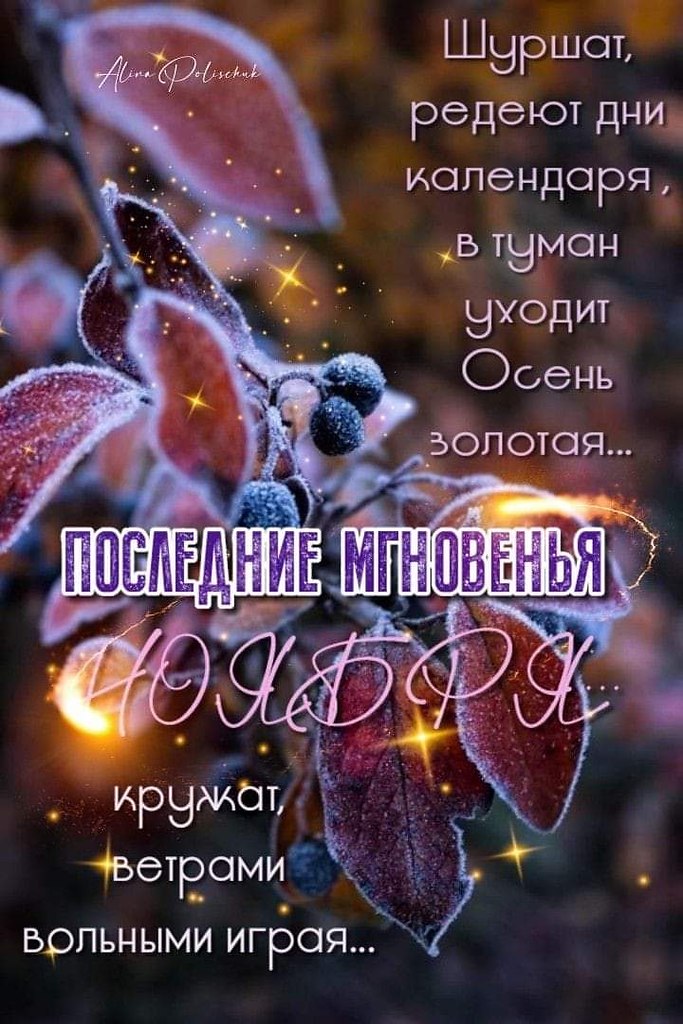  - 26  2024  07:45