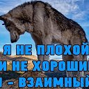 ���� ������, ���������, 40 ��� - ��������� 5 ������� 2025
