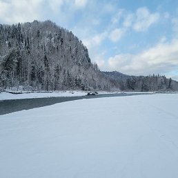 ������, ������, 44 ����