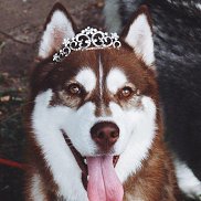 Slava, 25 лет, Калуга Slava, 25 лет, Калуга