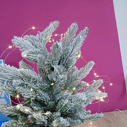 �����, ������, 52 ����