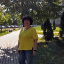 ���� �����, ������, 42 ���� - ��������� 8 ���� 2024 � ������ ���� ����������