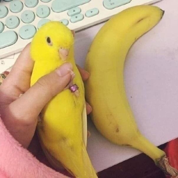  ,   - 3