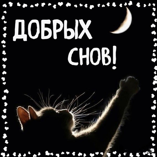 ��� ���� - 18 ������ 2026 � 22:55