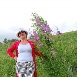 ����, �������, 56 ���