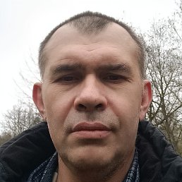 �������?!!!, ��������, 50 ���