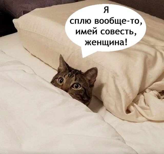       - 28  2025  11:22 - 3