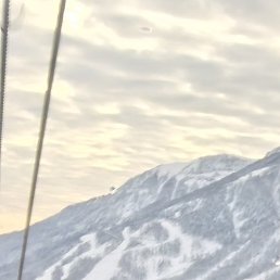 ���������, ����, 40 ���