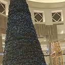 ���� �����, �����, 52 ���� - ��������� 28 ����� 2026 � ������ ������� 2026�