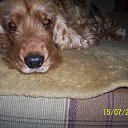 ���� ������� - �� ��������!, �������� - ��������� 13 ������ 2025 � ������ ������ ��������