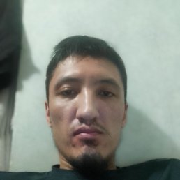 ���� Umar, ������, 28 ��� - ��������� 13 ��� 2026