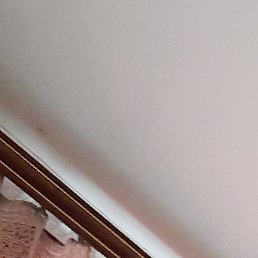 ���, ������, 49 ���