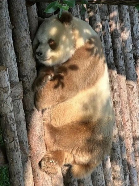   ,      .   ,       ... - 3