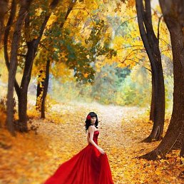 �����, ������