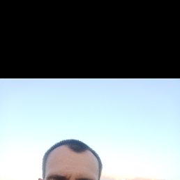 , 41, 
