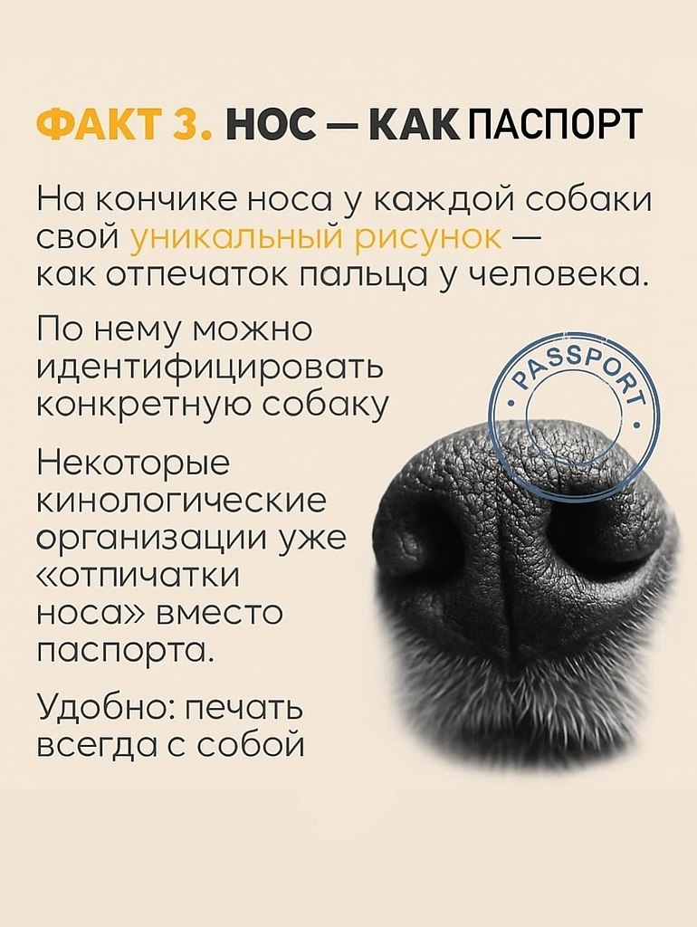       , Google       .    ... - 4